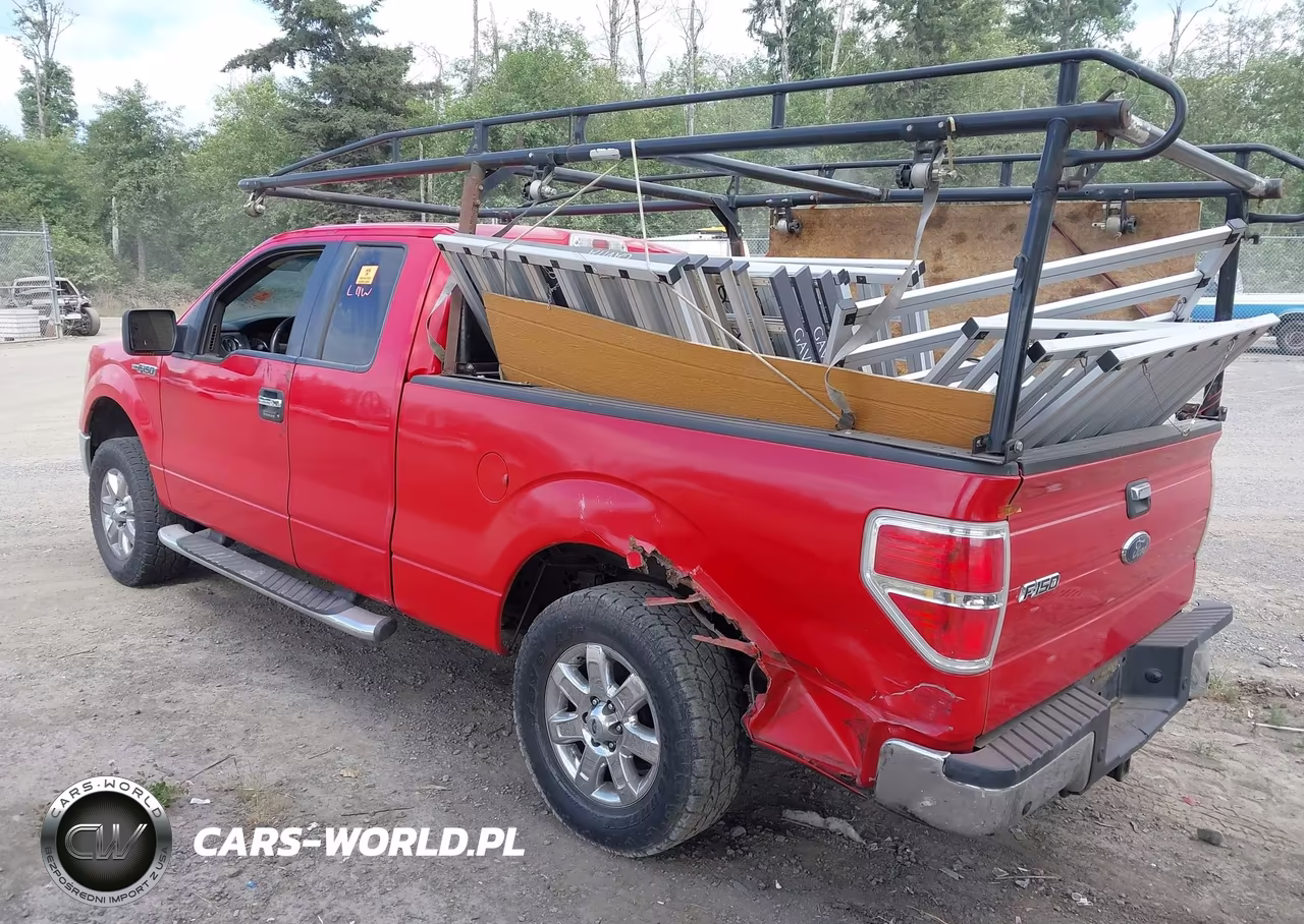 2009 Ford F-150 Fx4-Lariat-Xl-Xlt VIN:1FTPX14V59FA30434 - 3