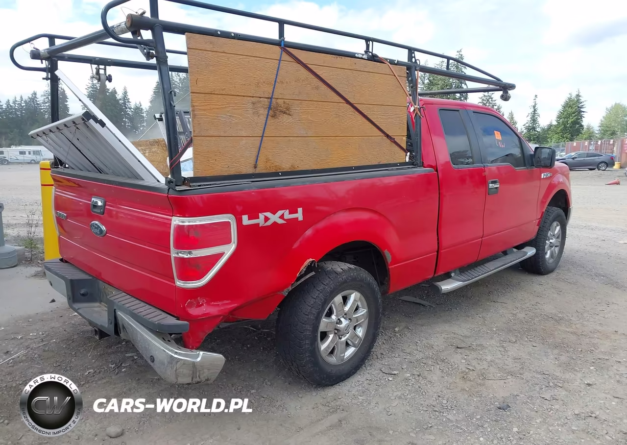 2009 Ford F-150 Fx4-Lariat-Xl-Xlt VIN:1FTPX14V59FA30434 - 4