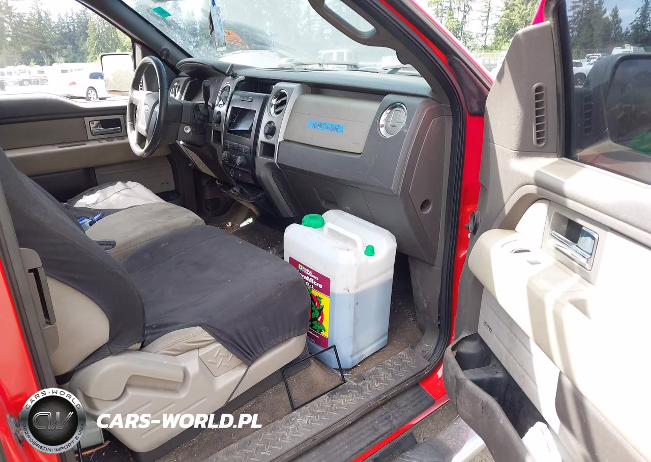 2009 Ford F-150 Fx4-Lariat-Xl-Xlt VIN:1FTPX14V59FA30434 - 5