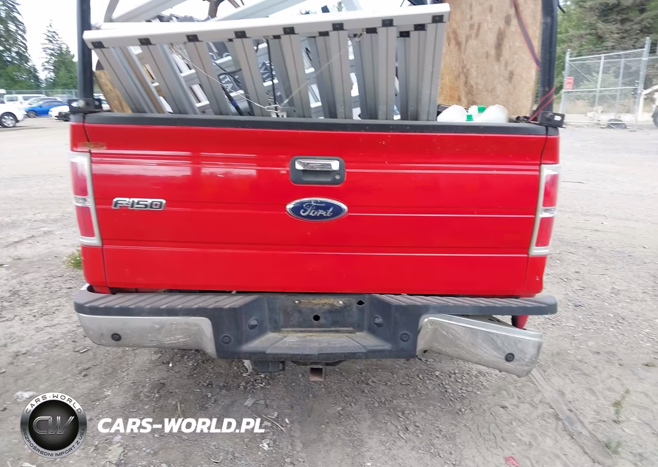 2009 Ford F-150 Fx4-Lariat-Xl-Xlt VIN:1FTPX14V59FA30434 - 6