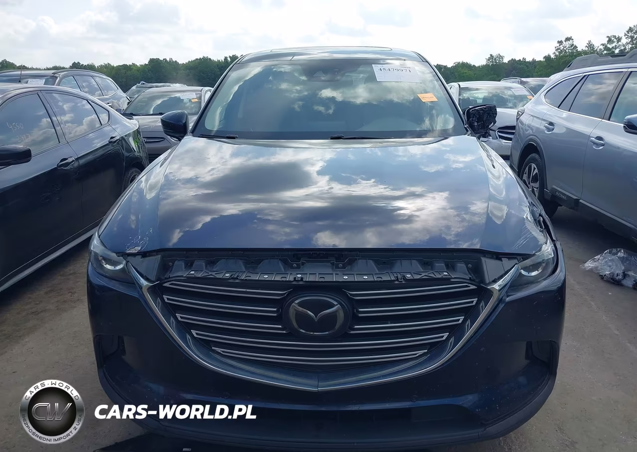 2018 Mazda Cx-9 Touring VIN:JM3TCBCY1J0234996 - 12