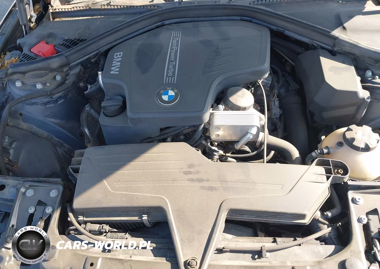 2015 BMW 428I VIN:WBA3N7C54FK225501 - 10