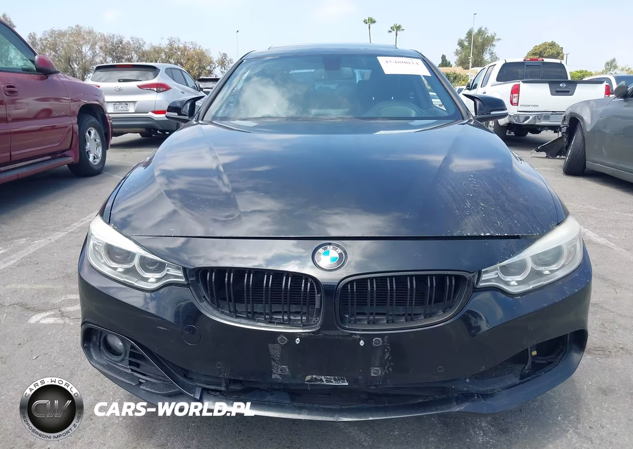 2014 BMW 4 SERIES I VIN:WBA3N7C5XEF719983 - 12