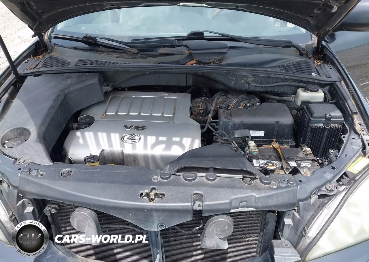 2009 Lexus Rx 350 VIN:2T2HK31U69C132906 - 10