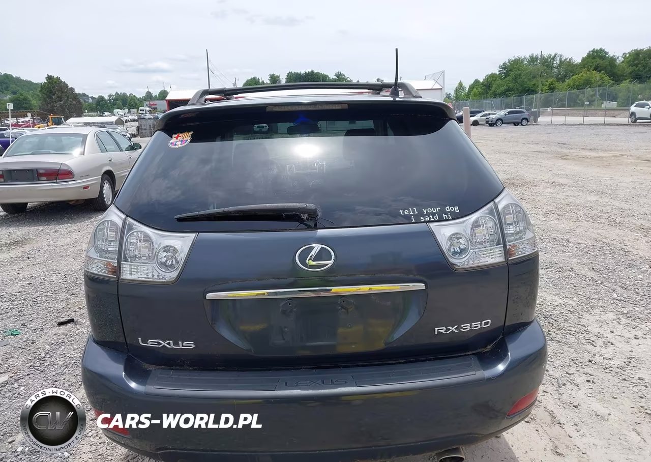 2009 Lexus Rx 350 VIN:2T2HK31U69C132906 - 16