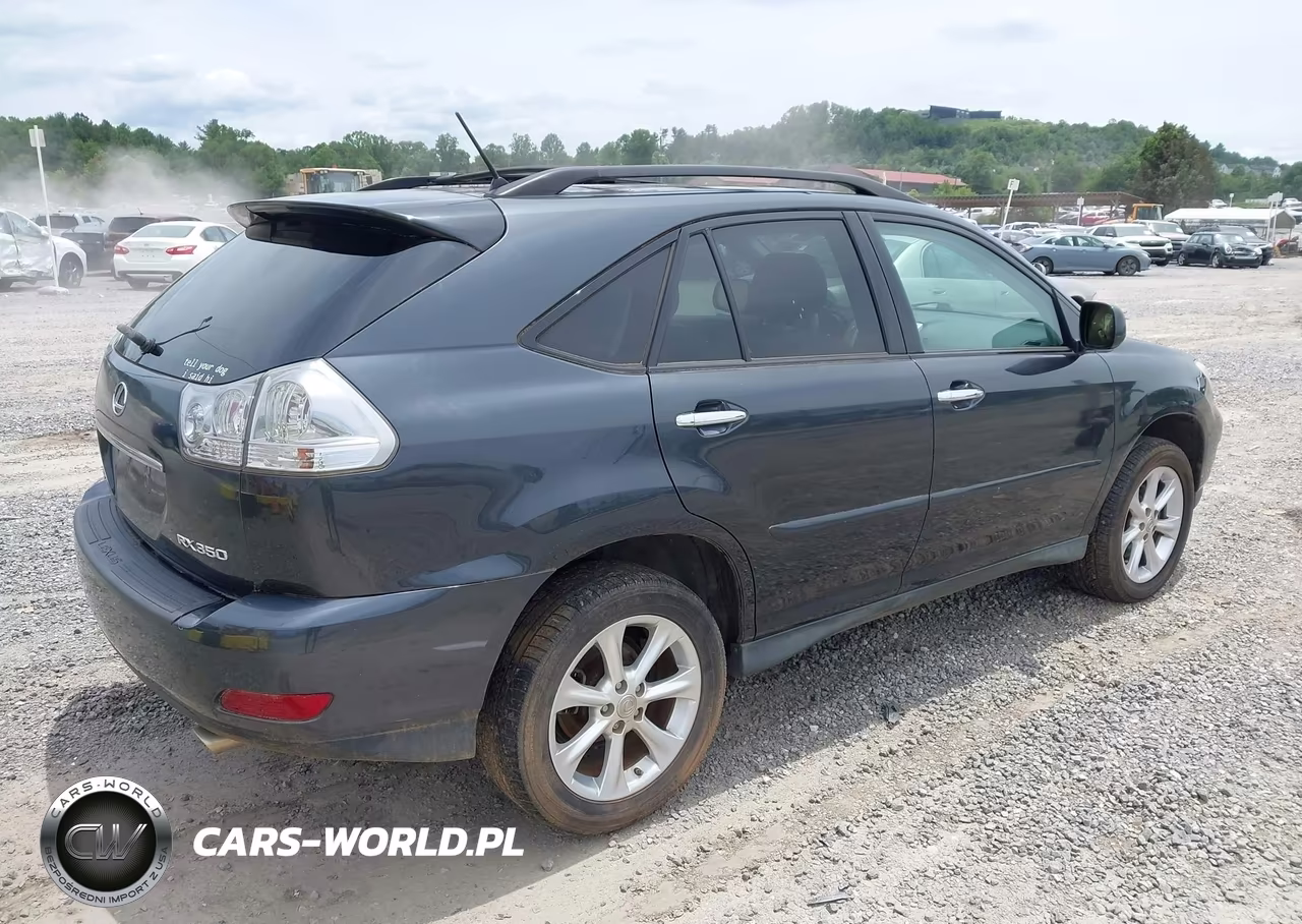 2009 Lexus Rx 350 VIN:2T2HK31U69C132906 - 4