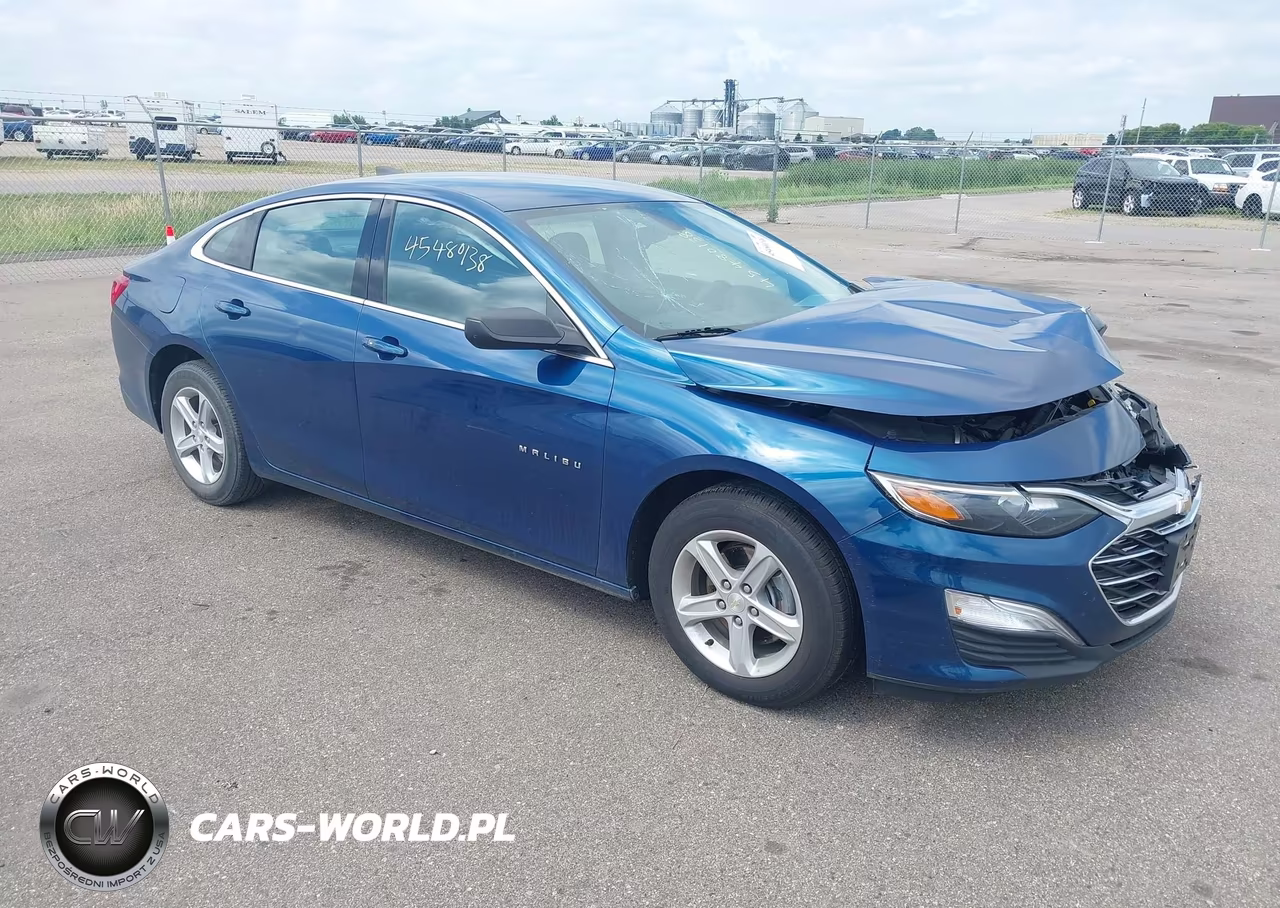 2019 Chevrolet Malibu 1Fl VIN:1G1ZC5ST5KF208872 - 1