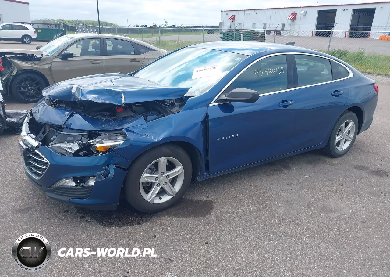 2019 Chevrolet Malibu 1Fl VIN:1G1ZC5ST5KF208872 - 2