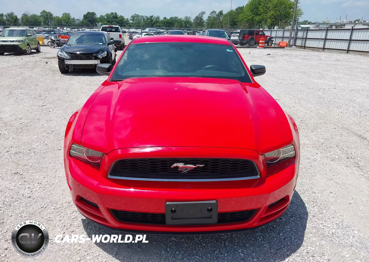 2013 Ford Mustang V6-V6 Premium VIN:1ZVBP8AM7D5241869 - 12