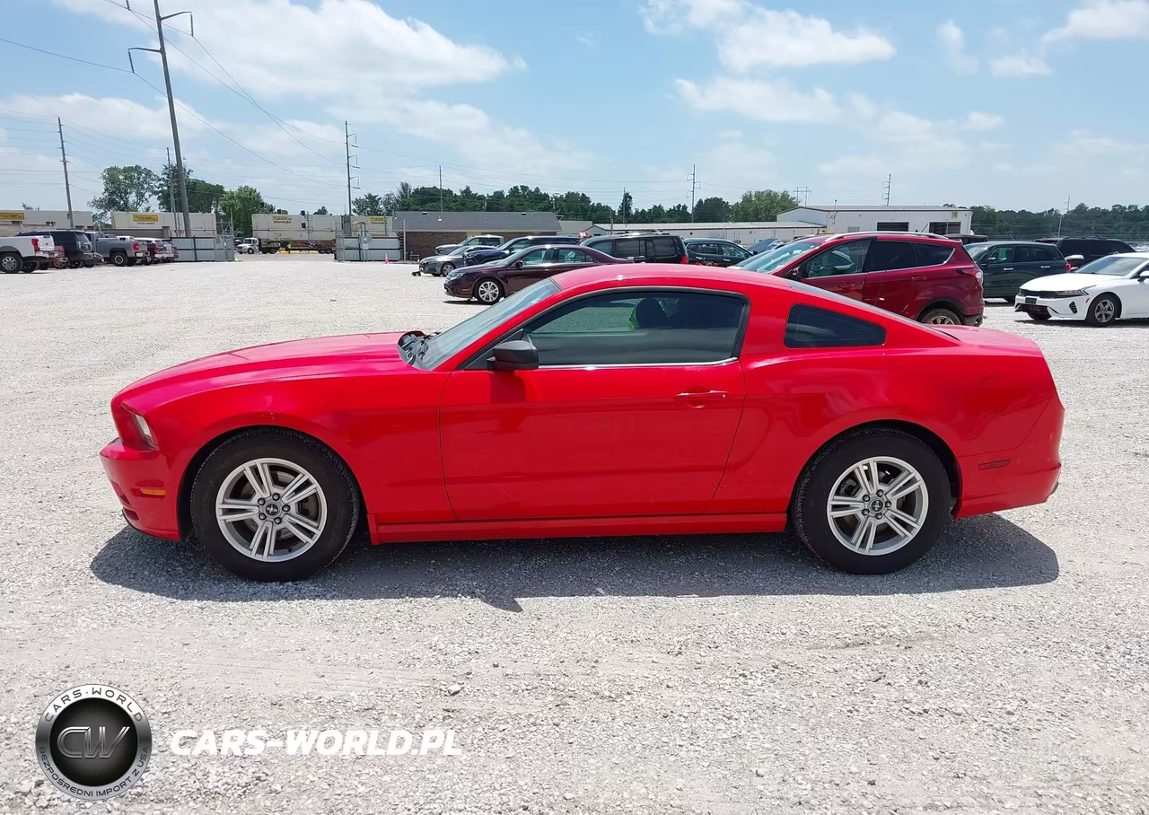 2013 Ford Mustang V6-V6 Premium VIN:1ZVBP8AM7D5241869 - 14