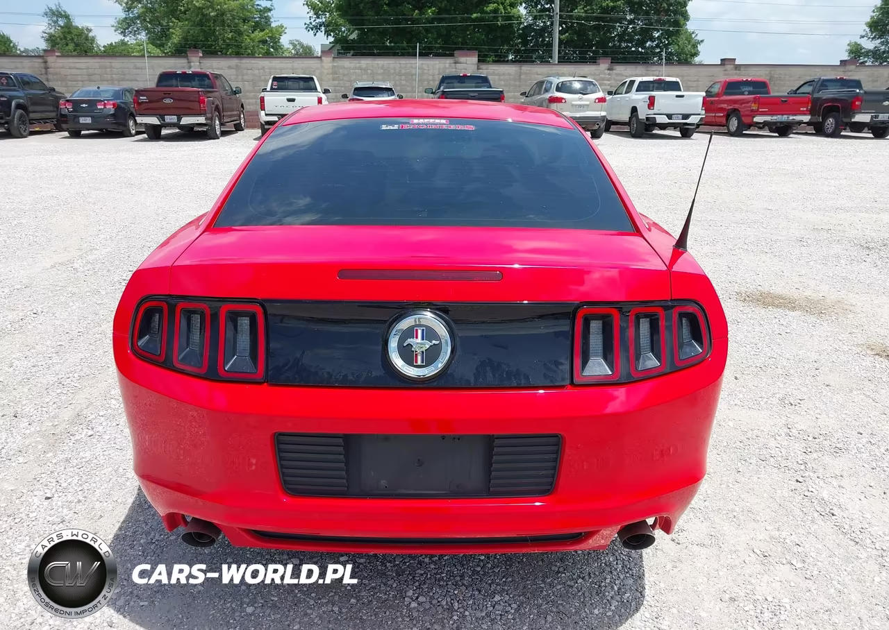 2013 Ford Mustang V6-V6 Premium VIN:1ZVBP8AM7D5241869 - 16
