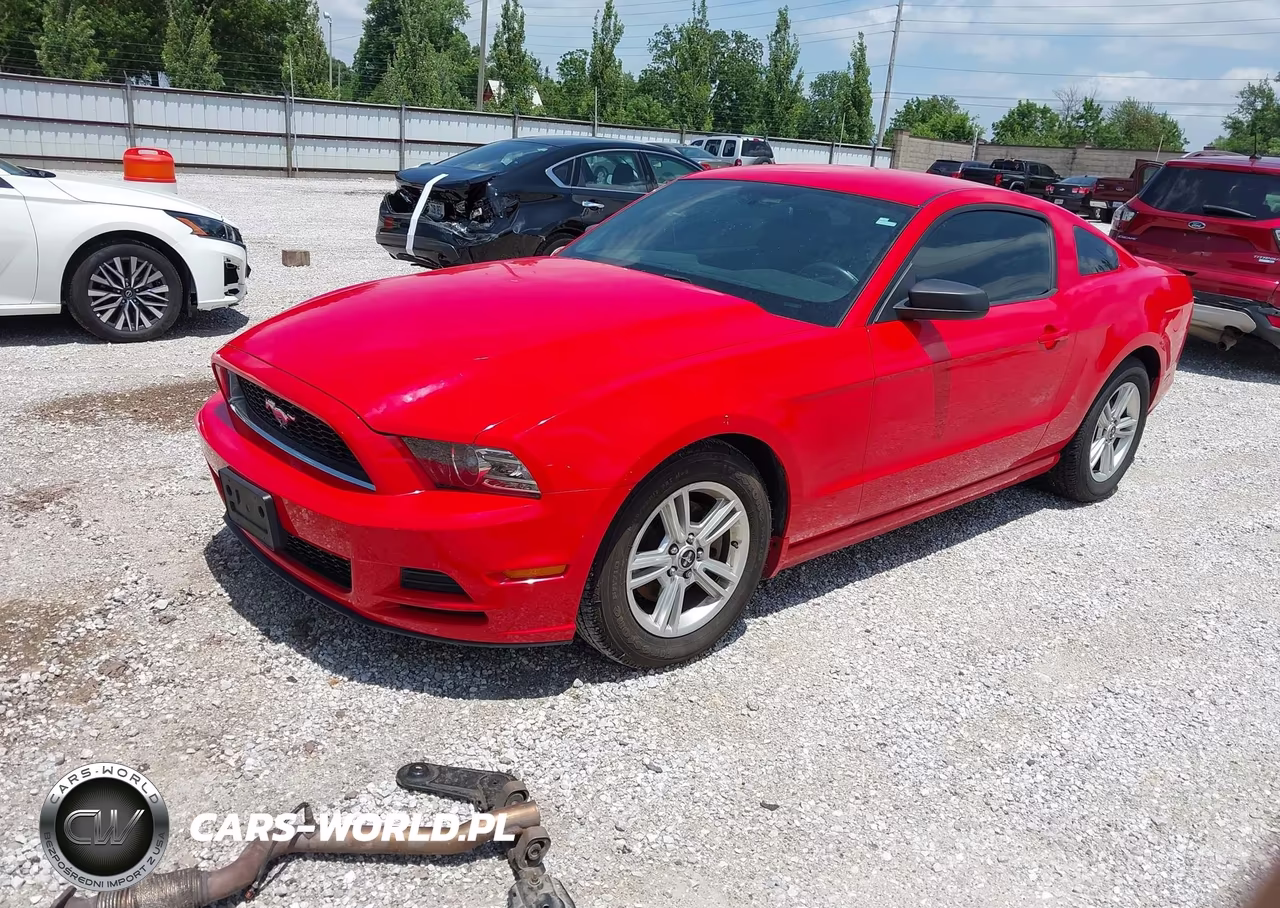 2013 Ford Mustang V6-V6 Premium VIN:1ZVBP8AM7D5241869 - 2