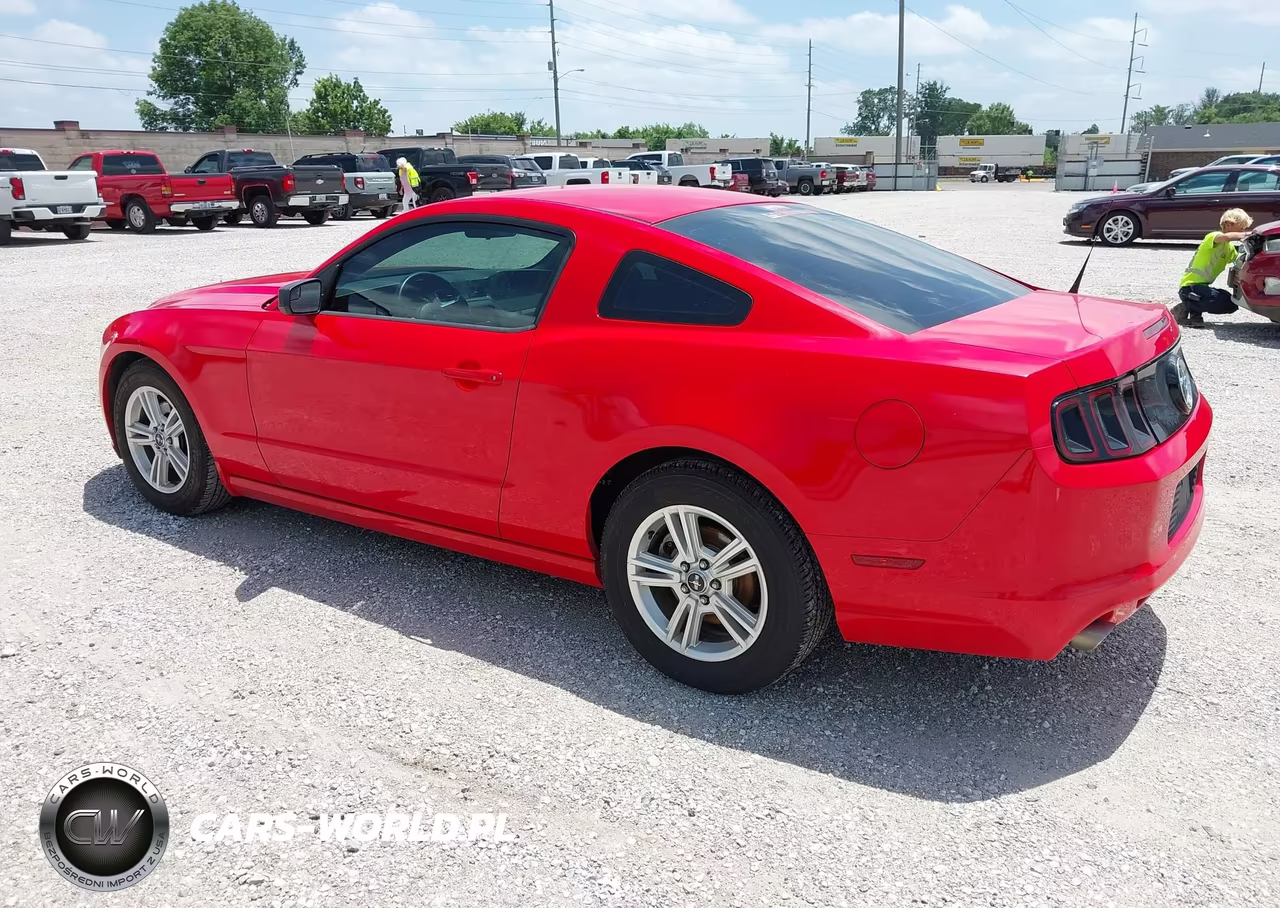 2013 Ford Mustang V6-V6 Premium VIN:1ZVBP8AM7D5241869 - 3