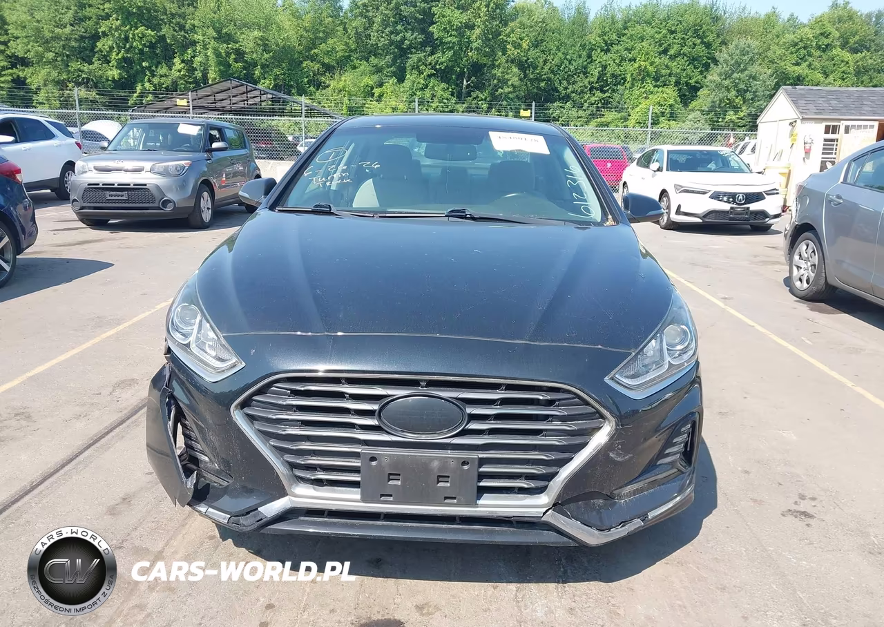 2018 Hyundai Sonata Sel VIN:5NPE34AF1JH612316 - 12