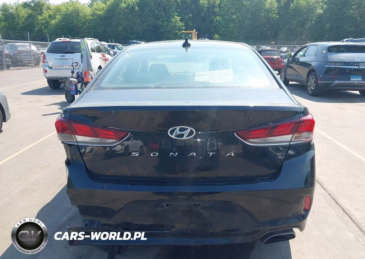 2018 Hyundai Sonata Sel VIN:5NPE34AF1JH612316 - 16