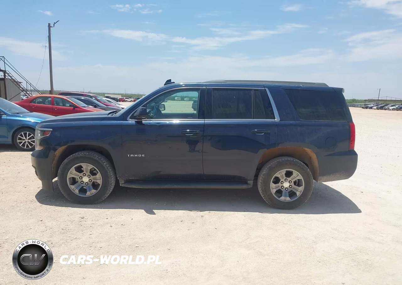 2018 Chevrolet Tahoe Ls VIN:1GNSKAEC9JR344815 - 16