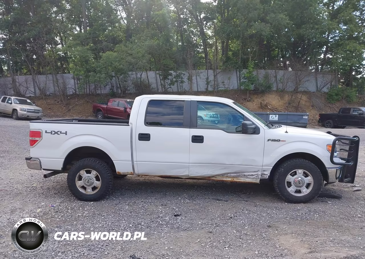 2014 Ford F-150 Xlt VIN:1FTFW1EF3EFA63237 - 13