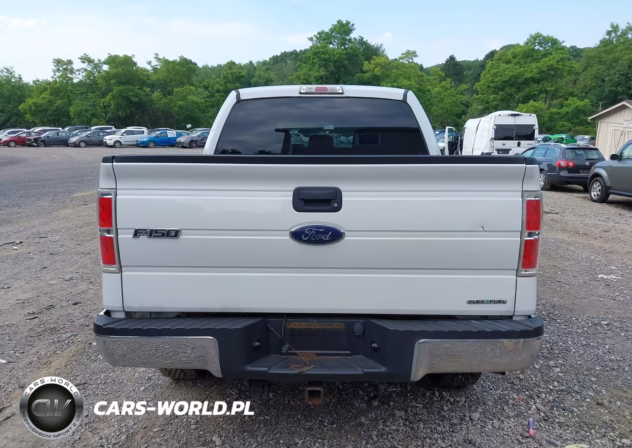 2014 Ford F-150 Xlt VIN:1FTFW1EF3EFA63237 - 16