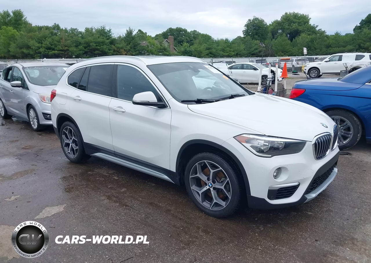 2019 BMW X1 xDrive28I – zdjęcie 1 z 11