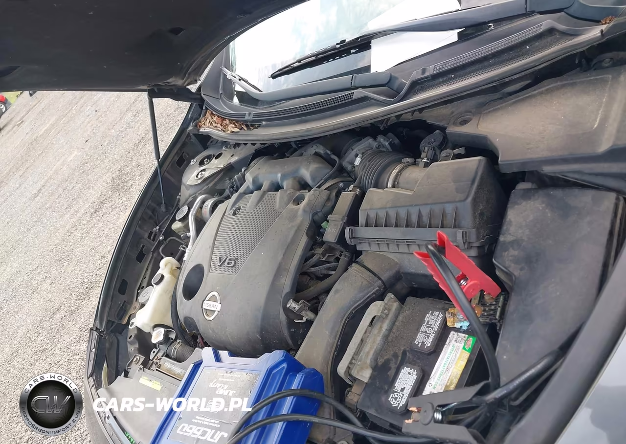 2013 Nissan Maxima S VIN:1N4AA5AP2DC810220 - 10