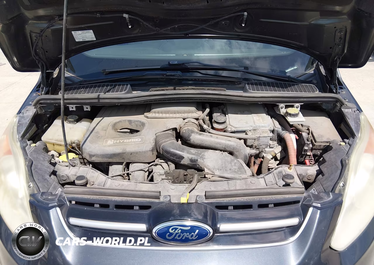 2013 Ford C-Max Hybrid Sel VIN:1FADP5BU5DL513927 - 10