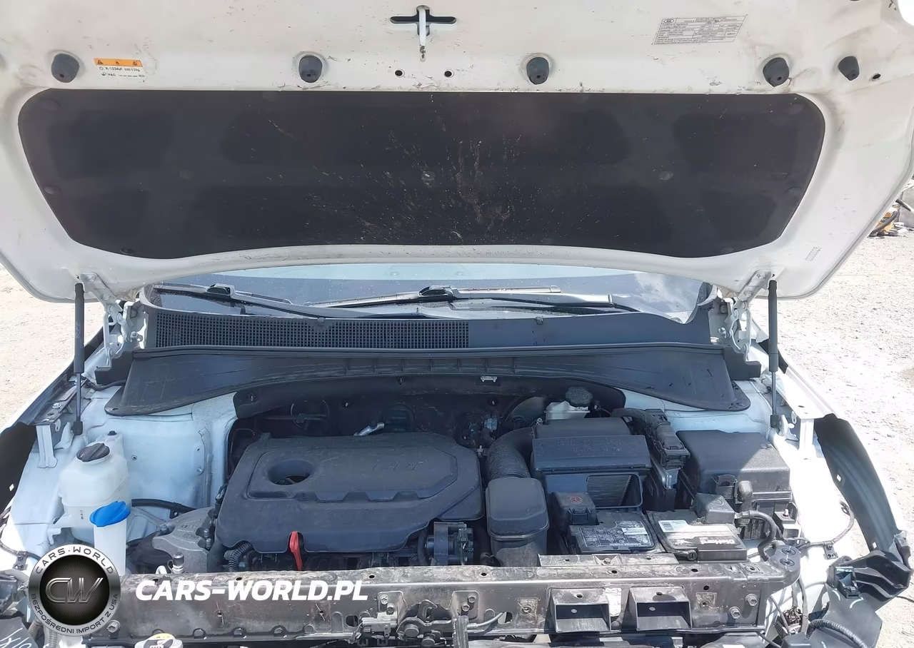 2020 Kia Sorento 2.4L Lx VIN:5XYPGDA34LG652578 - 10