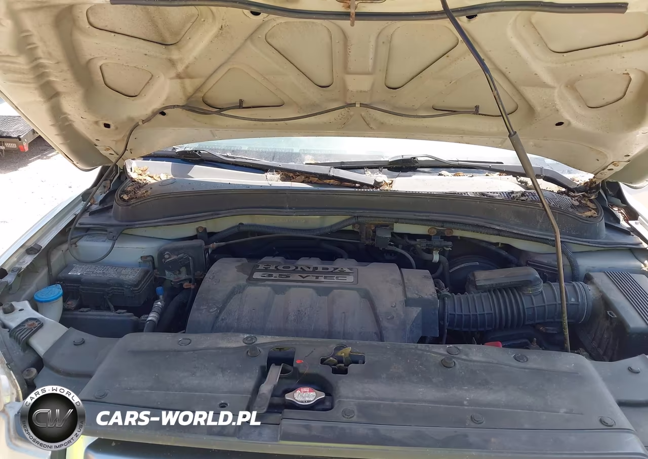 2006 Honda Pilot Ex VIN:5FNYF18466B009200 - 10