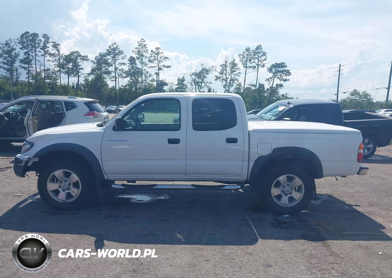 2004 Toyota Tacoma Prerunner VIN:5TEGM92NX4Z462197 - 14