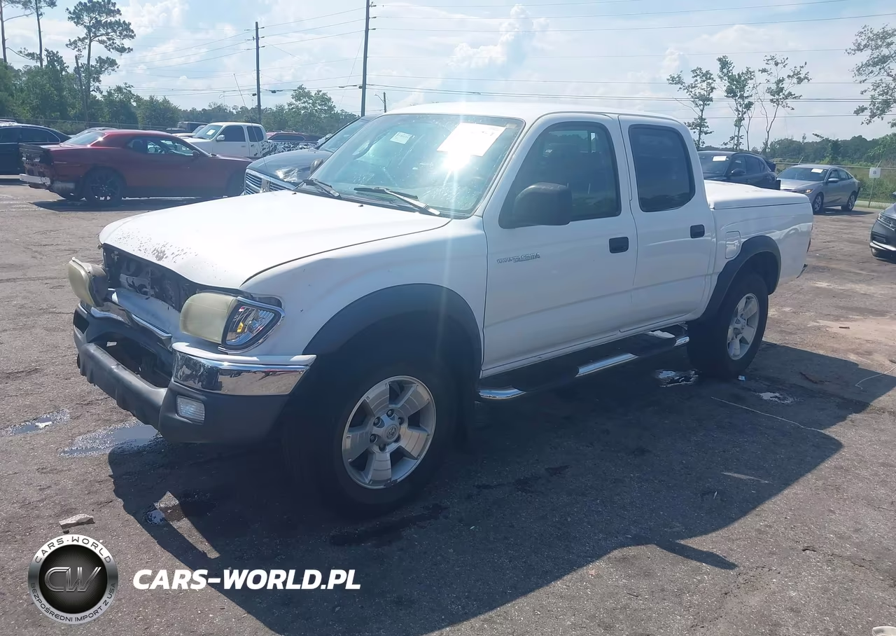 2004 Toyota Tacoma Prerunner VIN:5TEGM92NX4Z462197 - 2