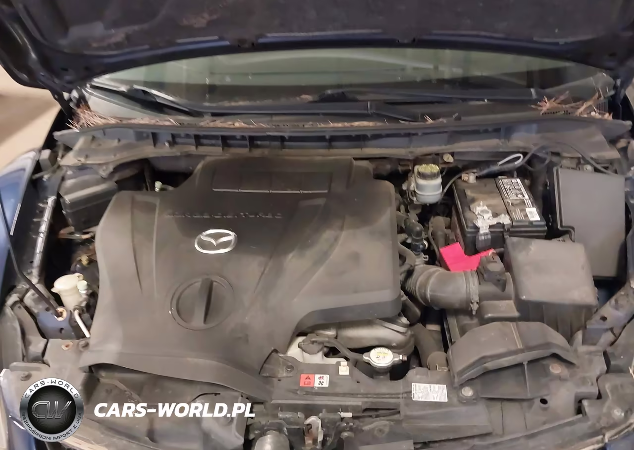 2010 Mazda Cx-7 S Touring VIN:JM3ER4W34A0316126 - 10