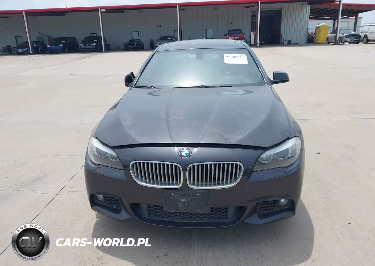 2012 BMW 550I VIN:WBAFR9C50CDX79020 - 12