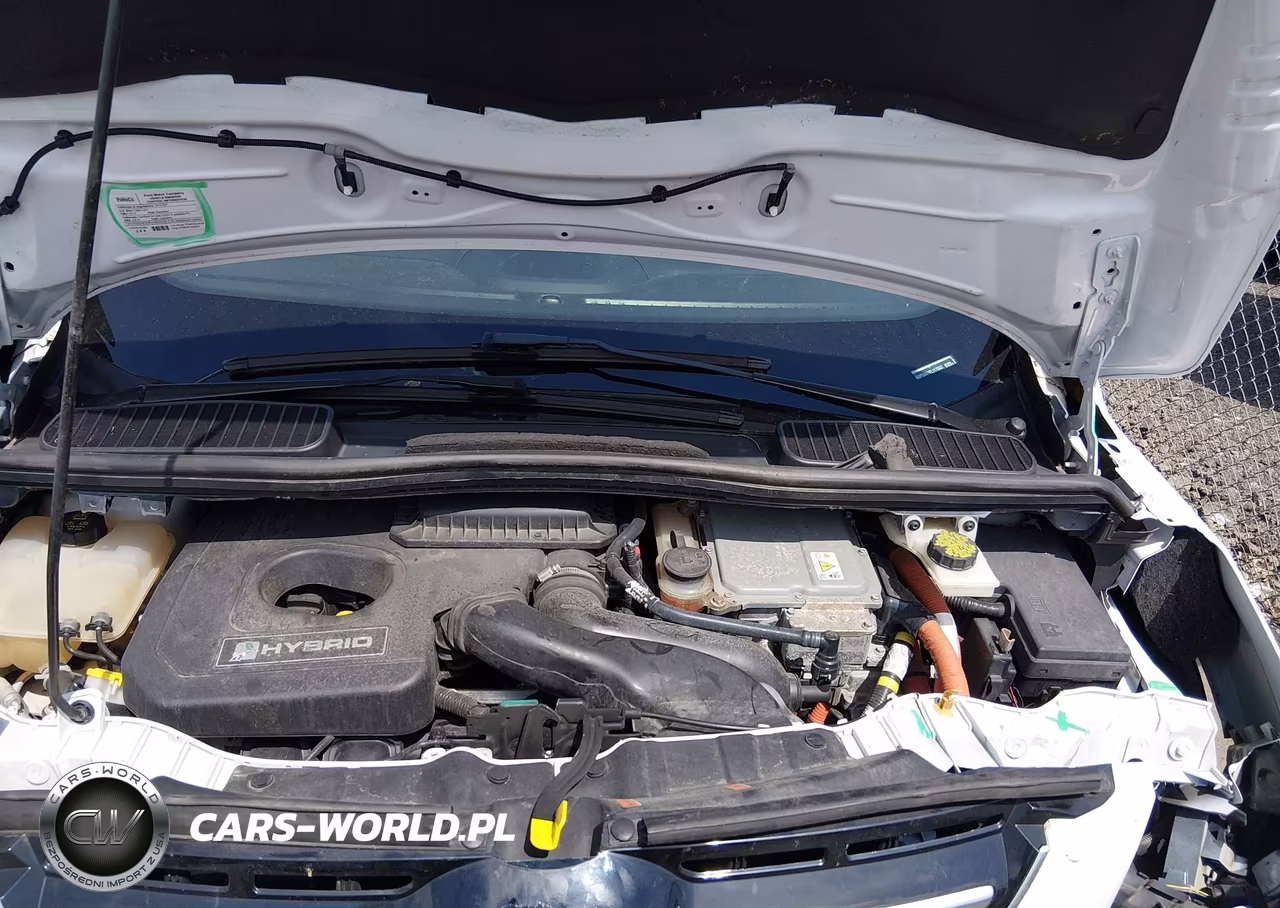 2015 Ford C-Max Hybrid Se VIN:1FADP5AU1FL117563 - 10
