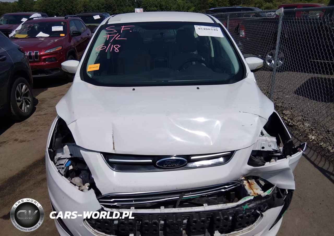 2015 Ford C-Max Hybrid Se VIN:1FADP5AU1FL117563 - 13