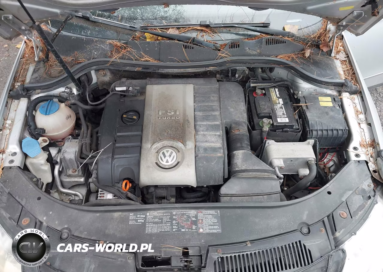 2007 Volkswagen Passat 2.0T-Wolfsburg Edition VIN:WVWAK73C07P119097 - 10