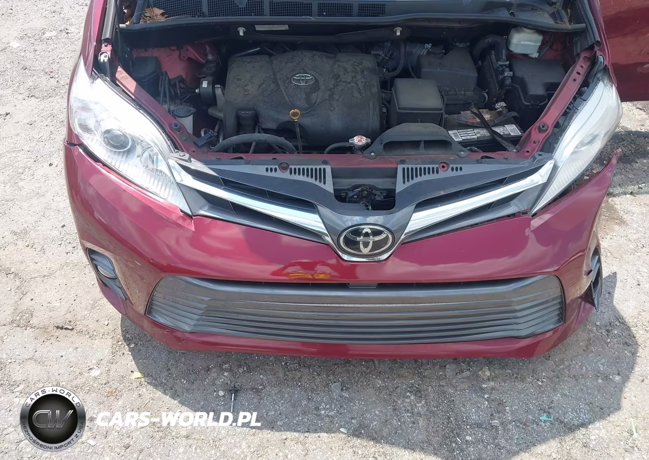 2019 Toyota Sienna Xle 8 Passenger VIN:5TDYZ3DC4KS984896 - 10