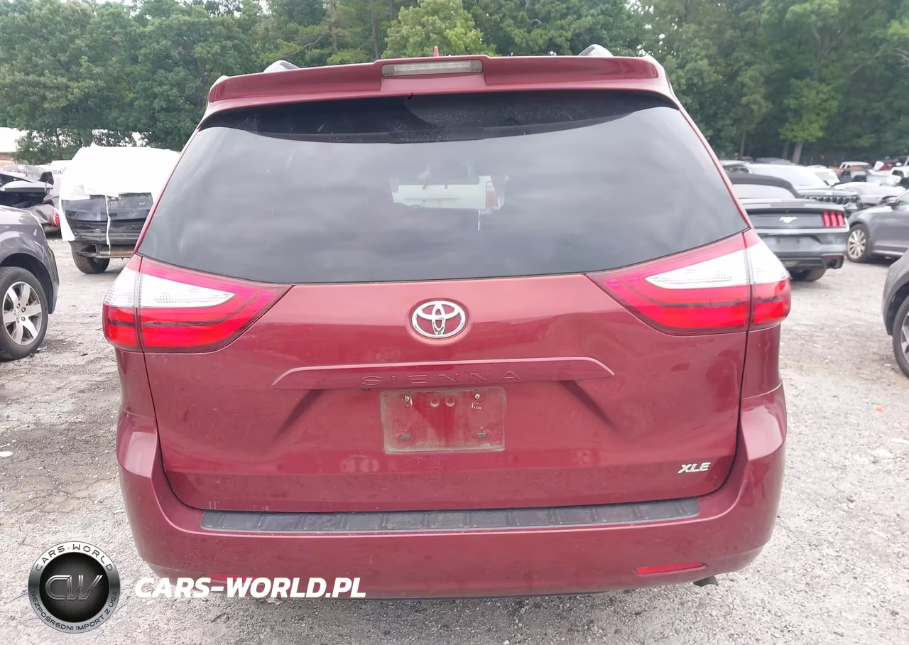 2019 Toyota Sienna Xle 8 Passenger VIN:5TDYZ3DC4KS984896 - 16
