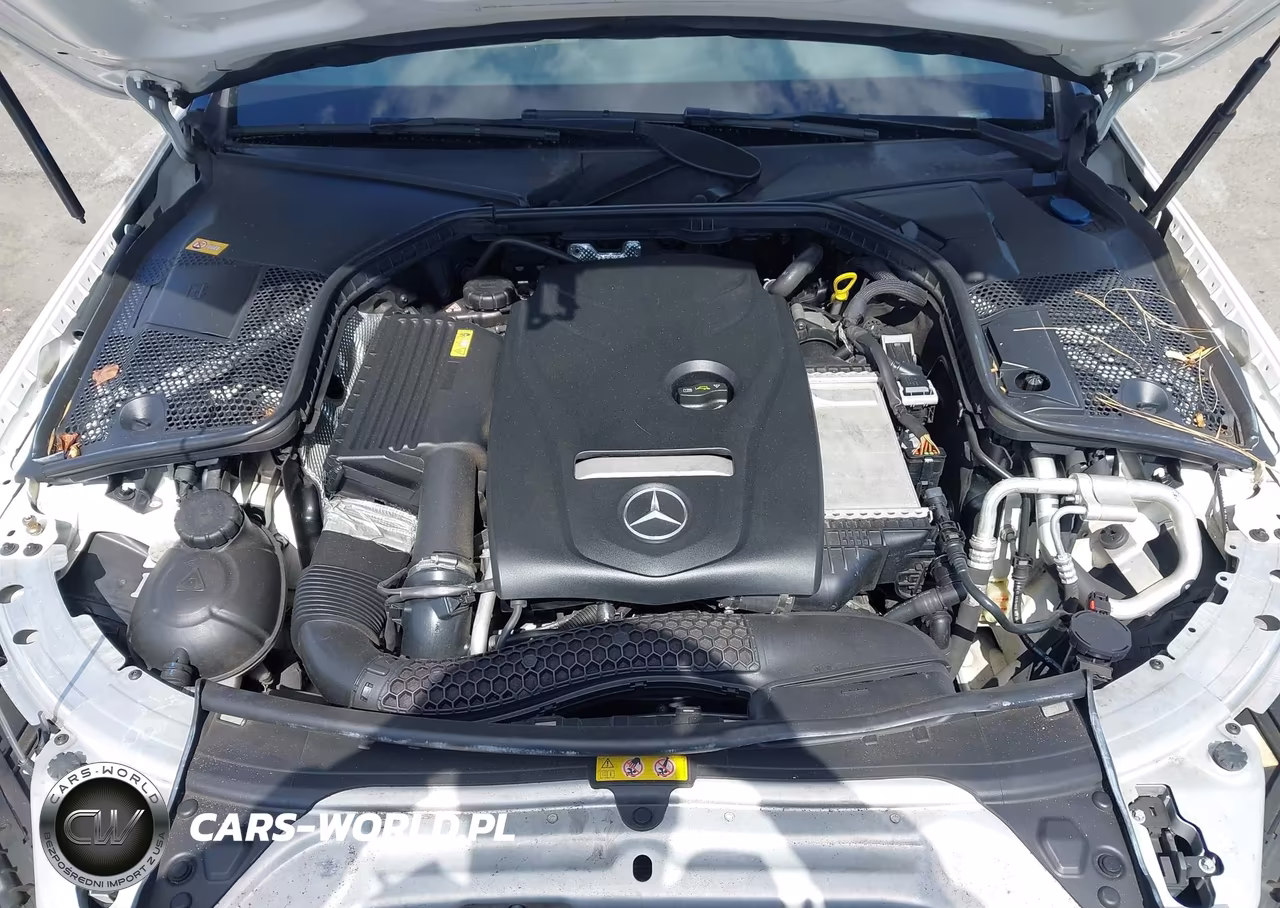 2016 Mercedes-Benz C 300 VIN:55SWF4JB7GU122607 - 10