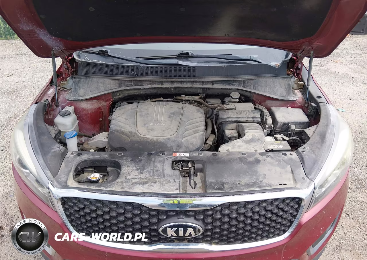 2016 Kia Sorento 3.3L Lx VIN:5XYPGDA5XGG110666 - 10