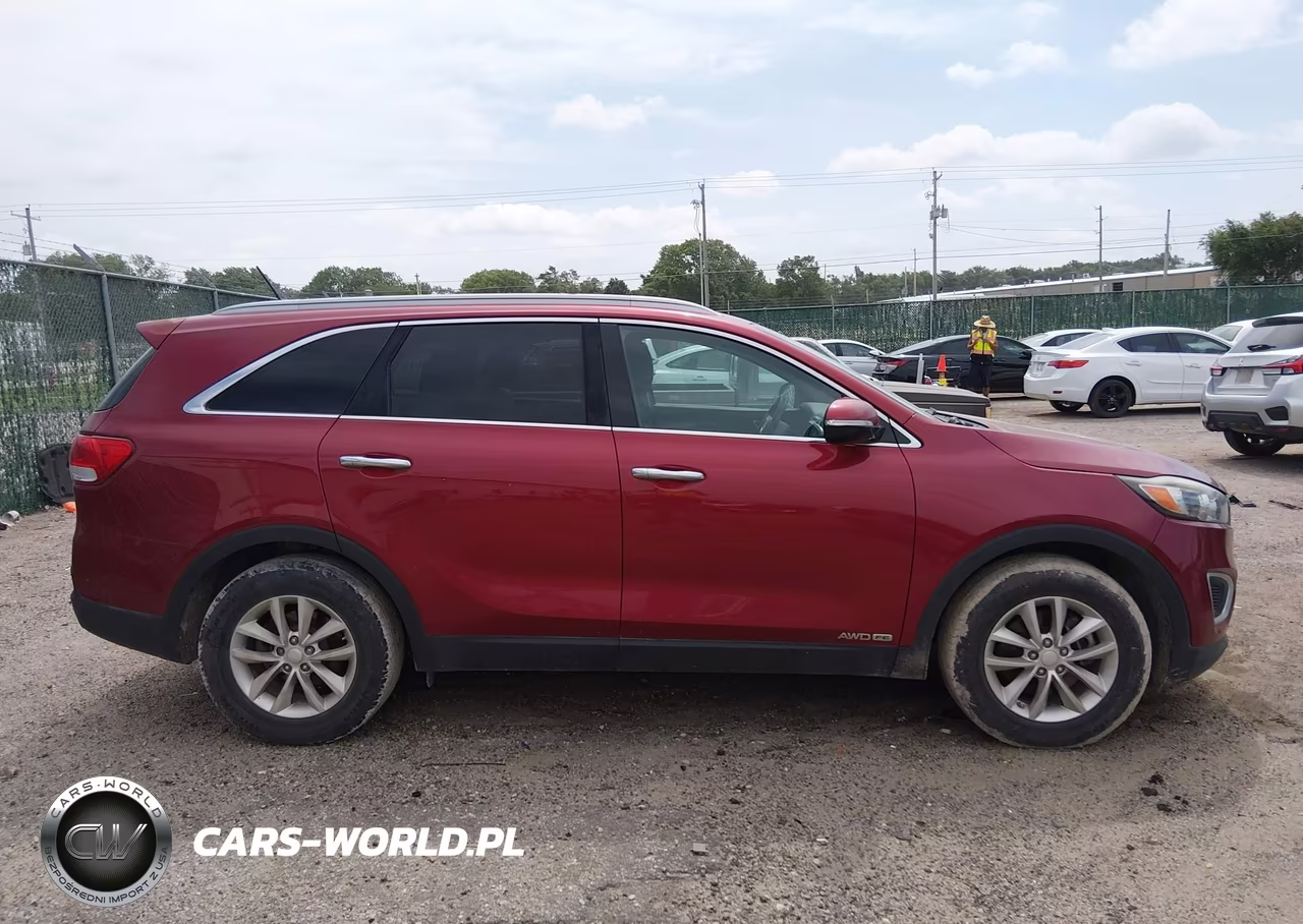 2016 Kia Sorento 3.3L Lx VIN:5XYPGDA5XGG110666 - 13