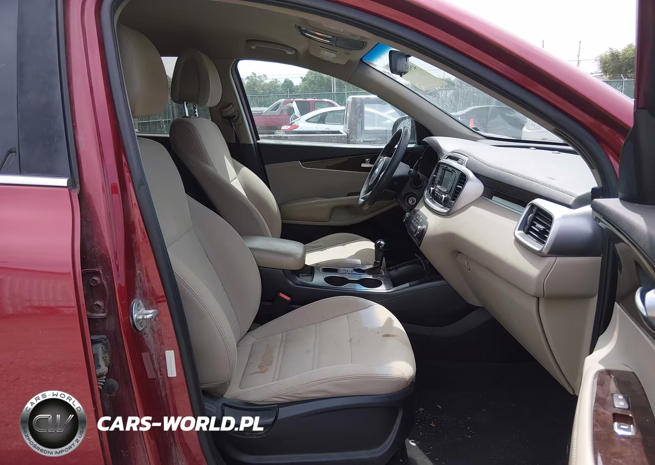 2016 Kia Sorento 3.3L Lx VIN:5XYPGDA5XGG110666 - 5