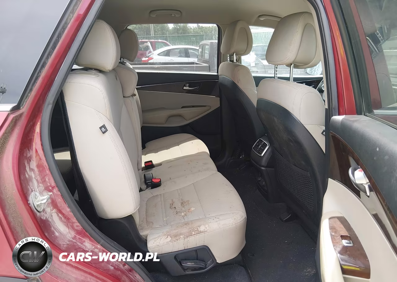 2016 Kia Sorento 3.3L Lx VIN:5XYPGDA5XGG110666 - 8