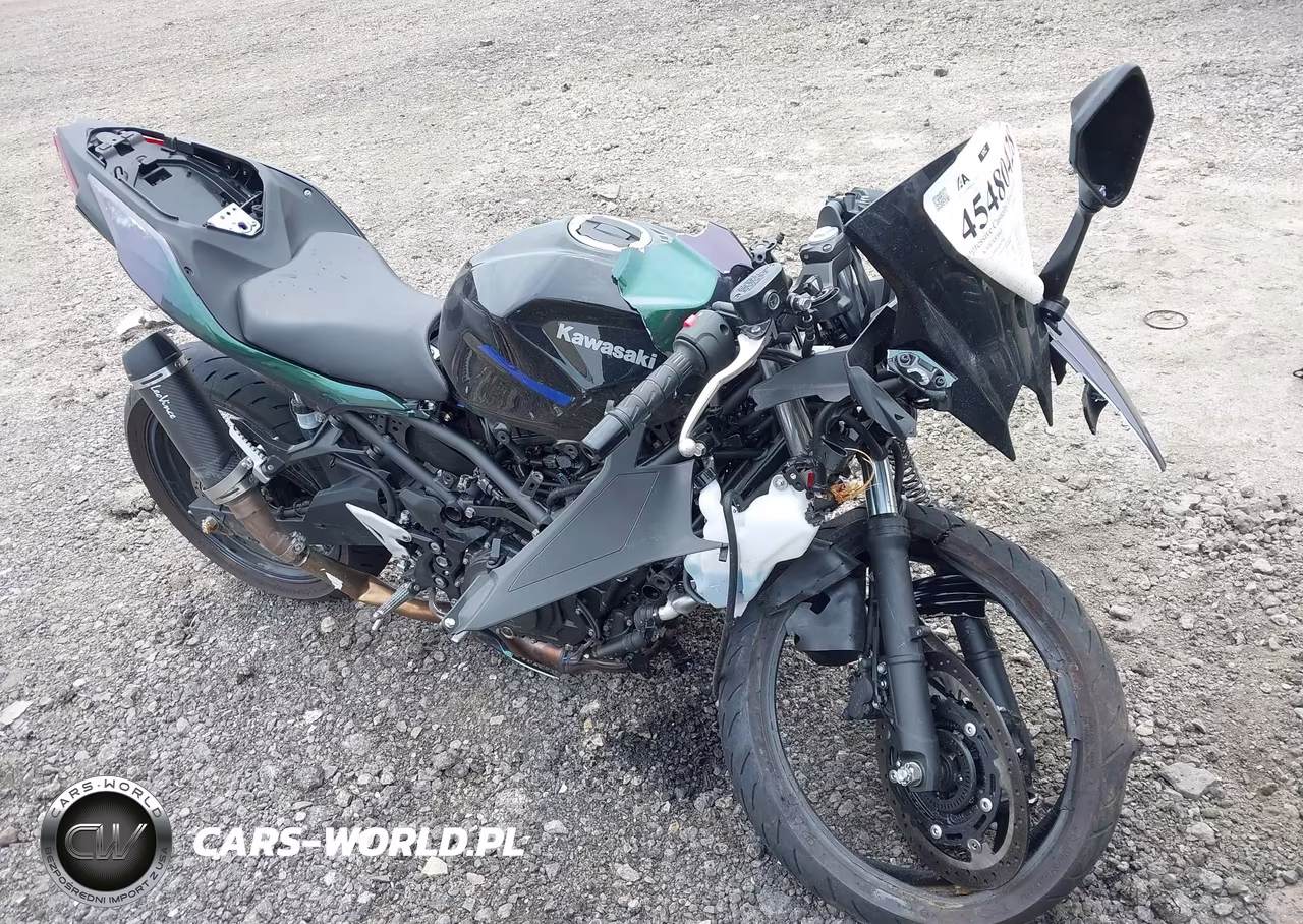 2025 Kawasaki Ex500 – zdjęcie 1 z 19
