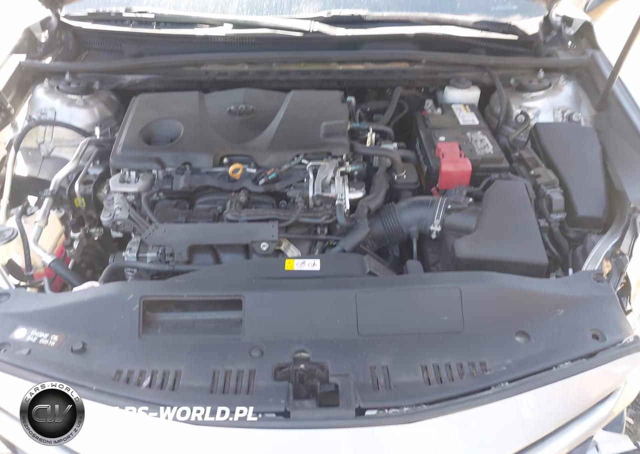 2019 Toyota Camry Se VIN:4T1B11HKXKU209576 - 10