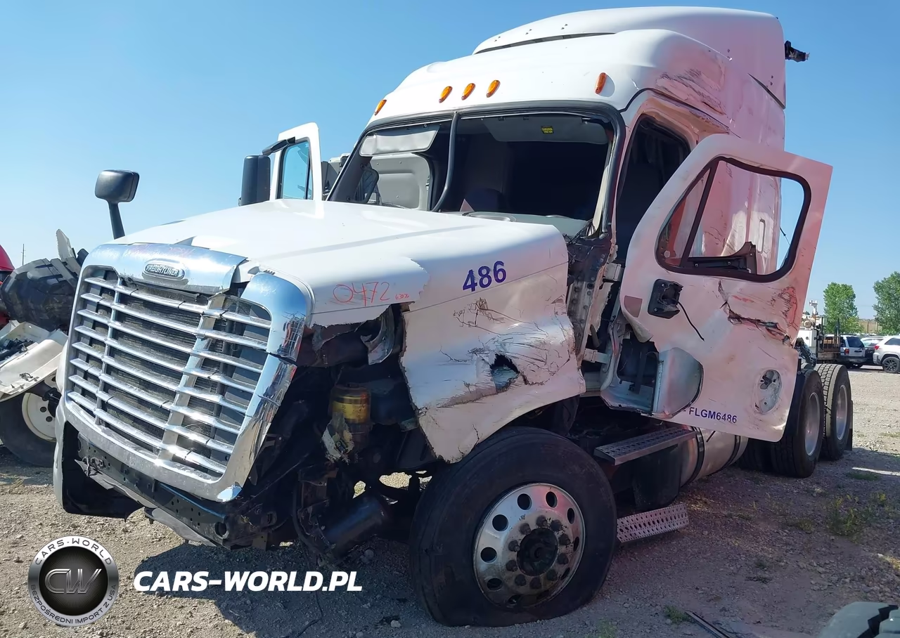 2015 Freightliner Cascadia 125 VIN:1FUJGLDV0FLGM6486 - 11
