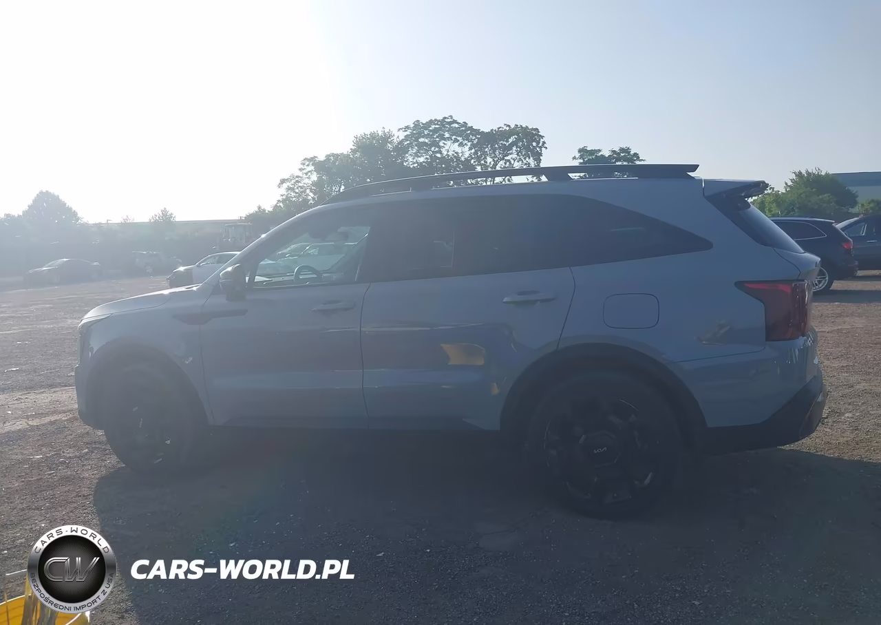 2024 Kia Sorento X-Line Sx VIN:5XYRKDJF5RG271610 - 14