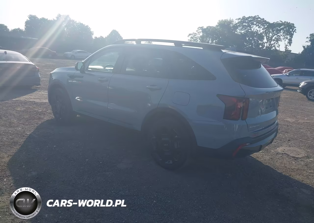 2024 Kia Sorento X-Line Sx VIN:5XYRKDJF5RG271610 - 3