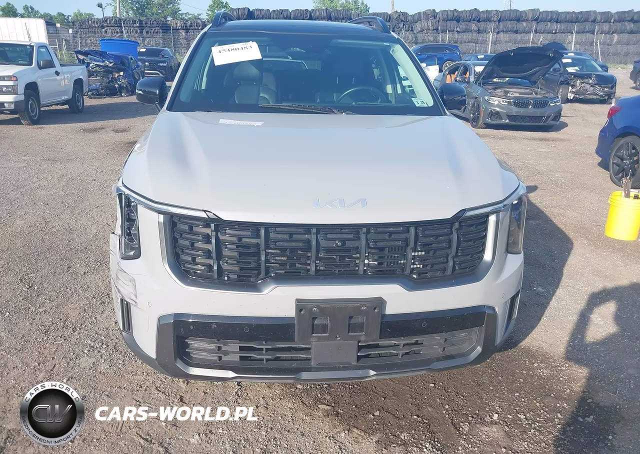 2024 Kia Sorento X-Line Sx VIN:5XYRKDJF5RG271610 - 6