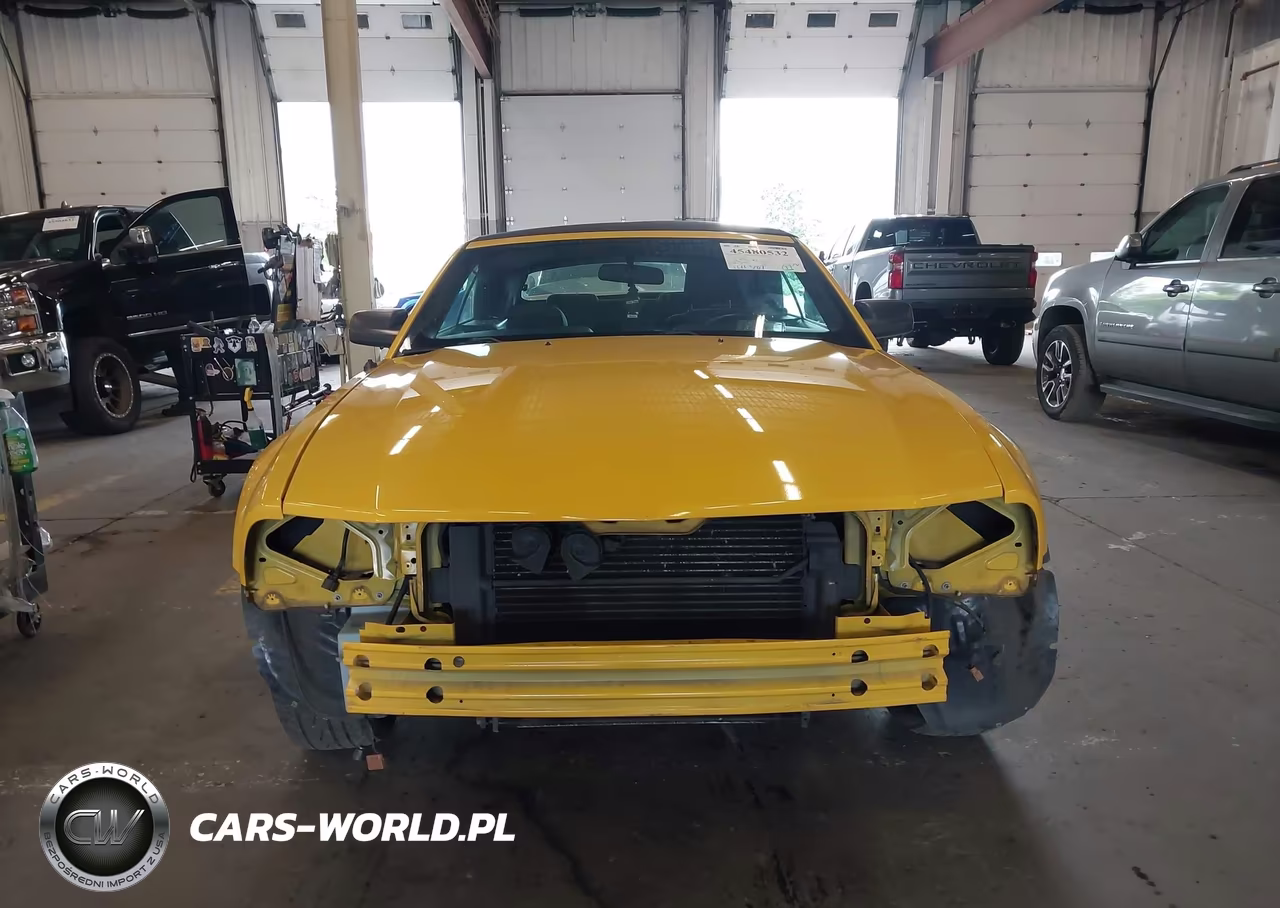 2005 Ford Mustang VIN:1ZVFT84N055248505 - 12