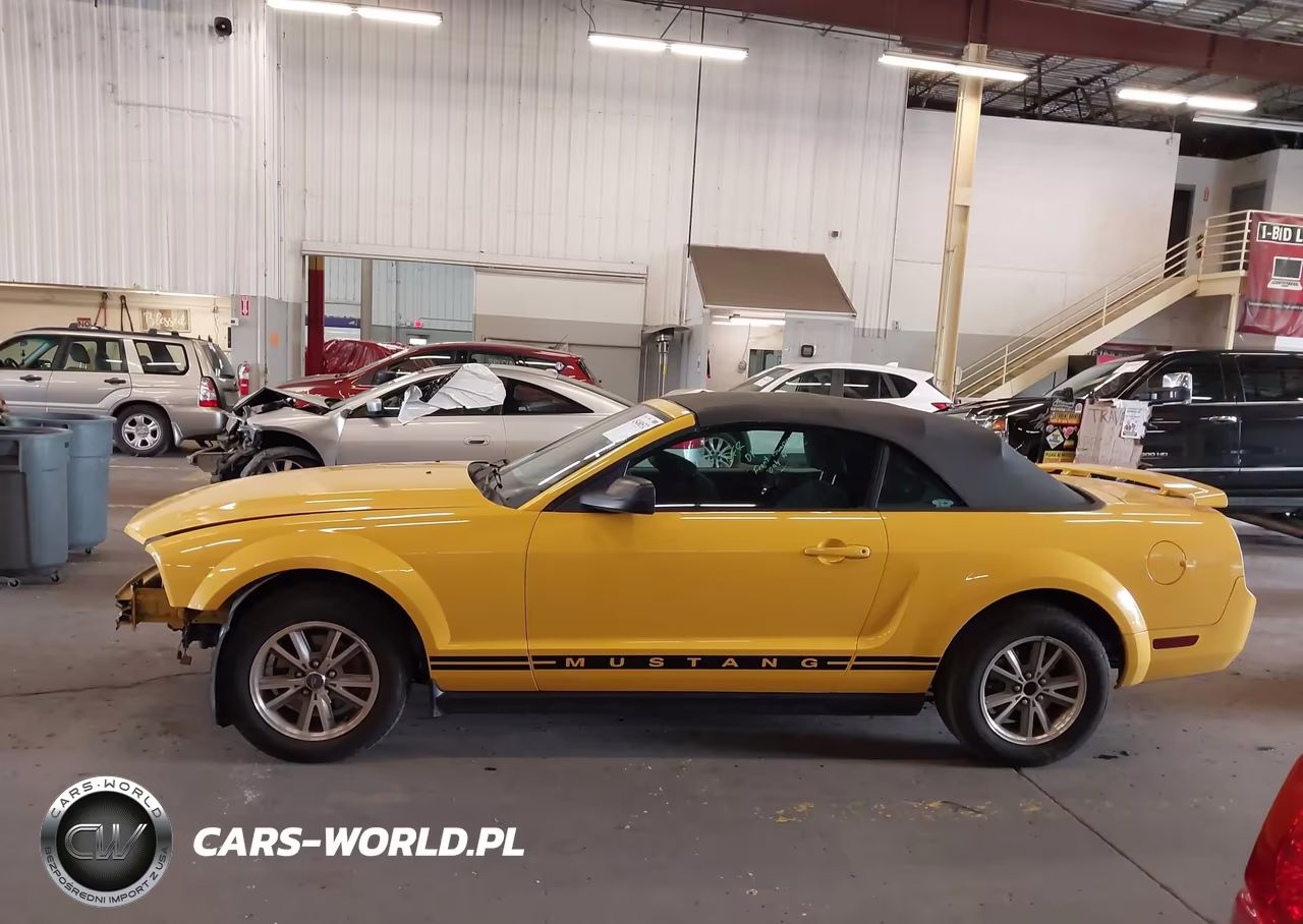 2005 Ford Mustang VIN:1ZVFT84N055248505 - 14