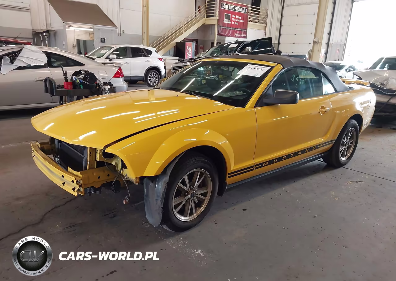 2005 Ford Mustang VIN:1ZVFT84N055248505 - 2